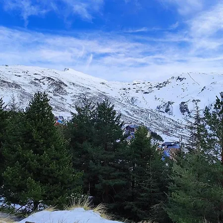 Lejlighed Area Nevada Elite