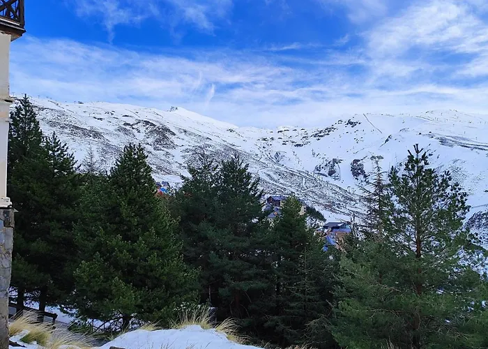 Lejlighed Area Nevada Elite